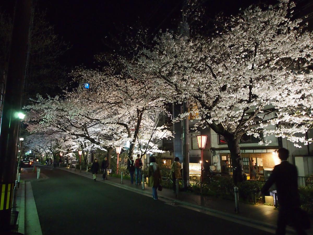 Business Hotel Shusenkaku Kyoto Ngoại thất bức ảnh
